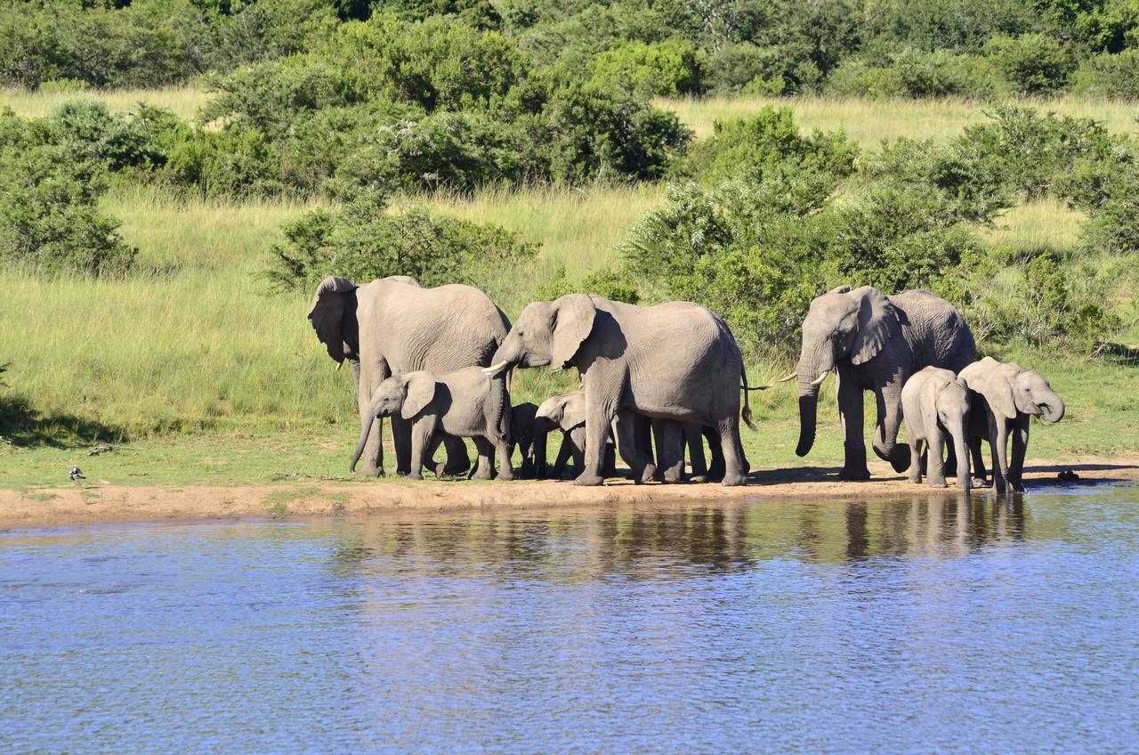 Lalibela Game Reserve Mark'S Camp Grahamstown Exterior foto